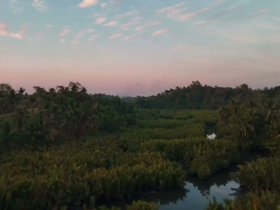 A sunset landscape filmed by JB